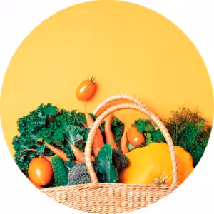 Gesamtdatei_Icons_Online_Magazin2 Gesamtdatei_Icons_Online_Magazin2
